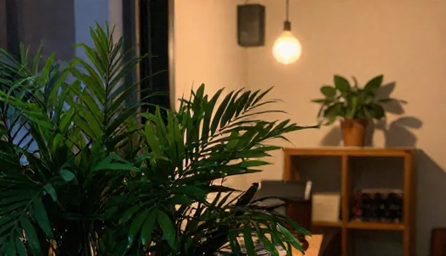 系统集成中SEO优化的适用场景与限制